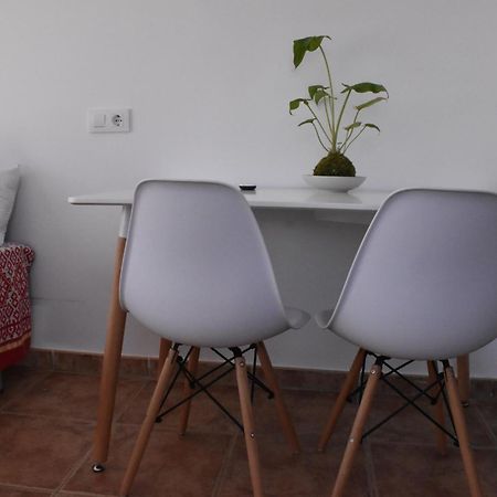 Apartamentos Les Palmeres Platja d'Aro Exteriér fotografie